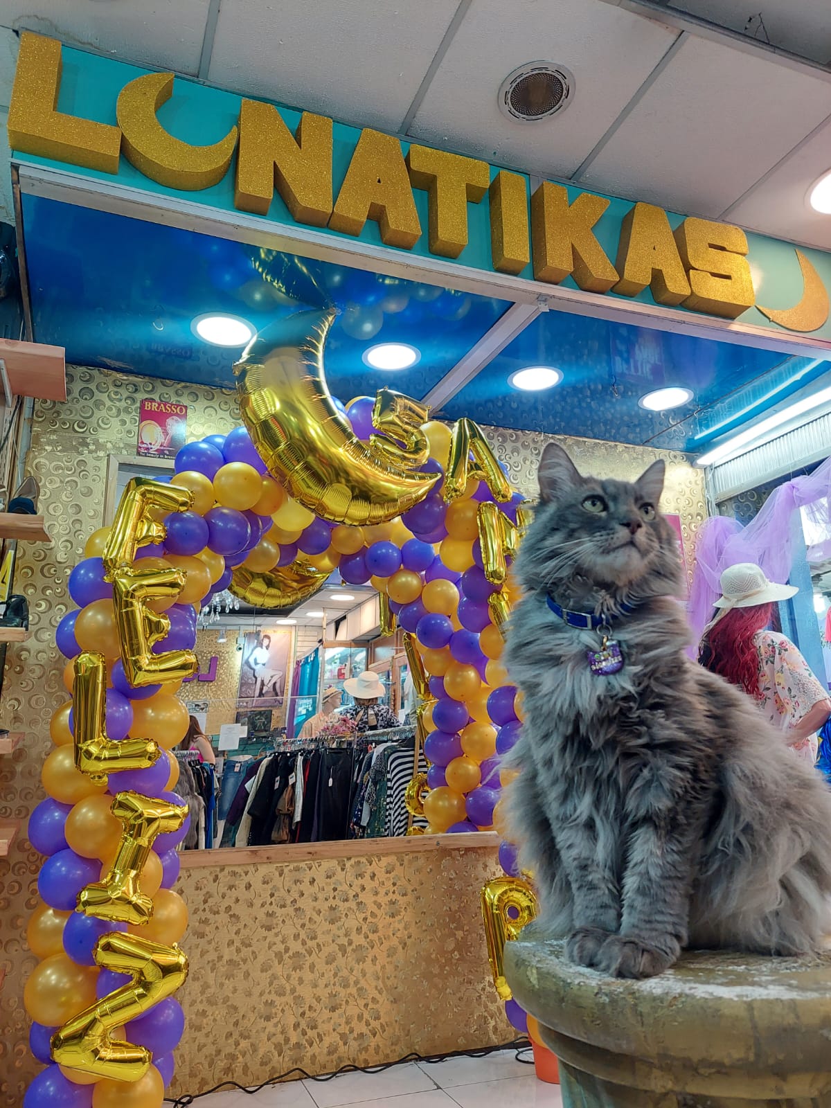 Foto de samy en lunatikas
